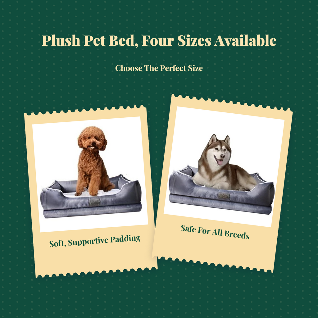 Orthopedic bed for medium-large dogs