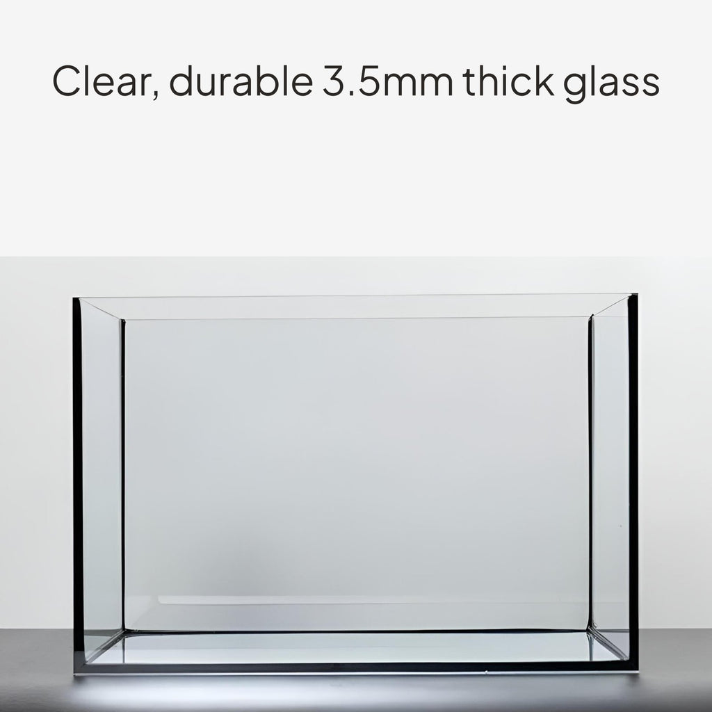 Glass Desktop Aquarium, Rectangular Black Silicone, Lid