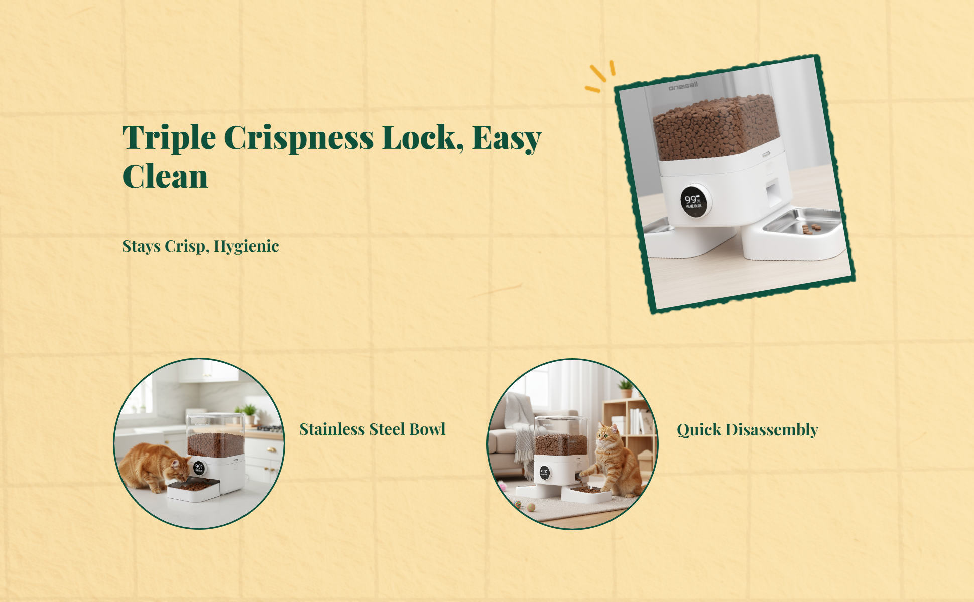 App-controlled automatic feeder