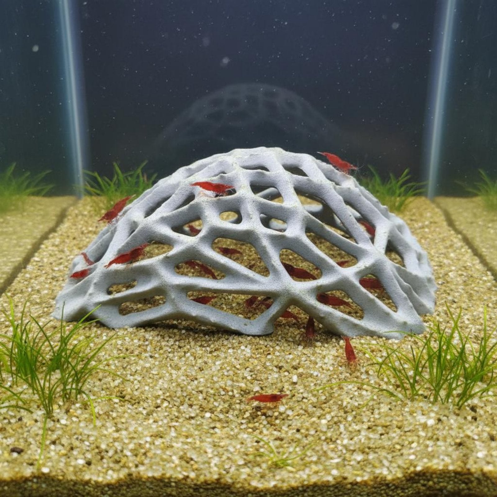 Shrimp Hiding Cave Stress Relief Aquarium Cave Tunnel Easy to Clean