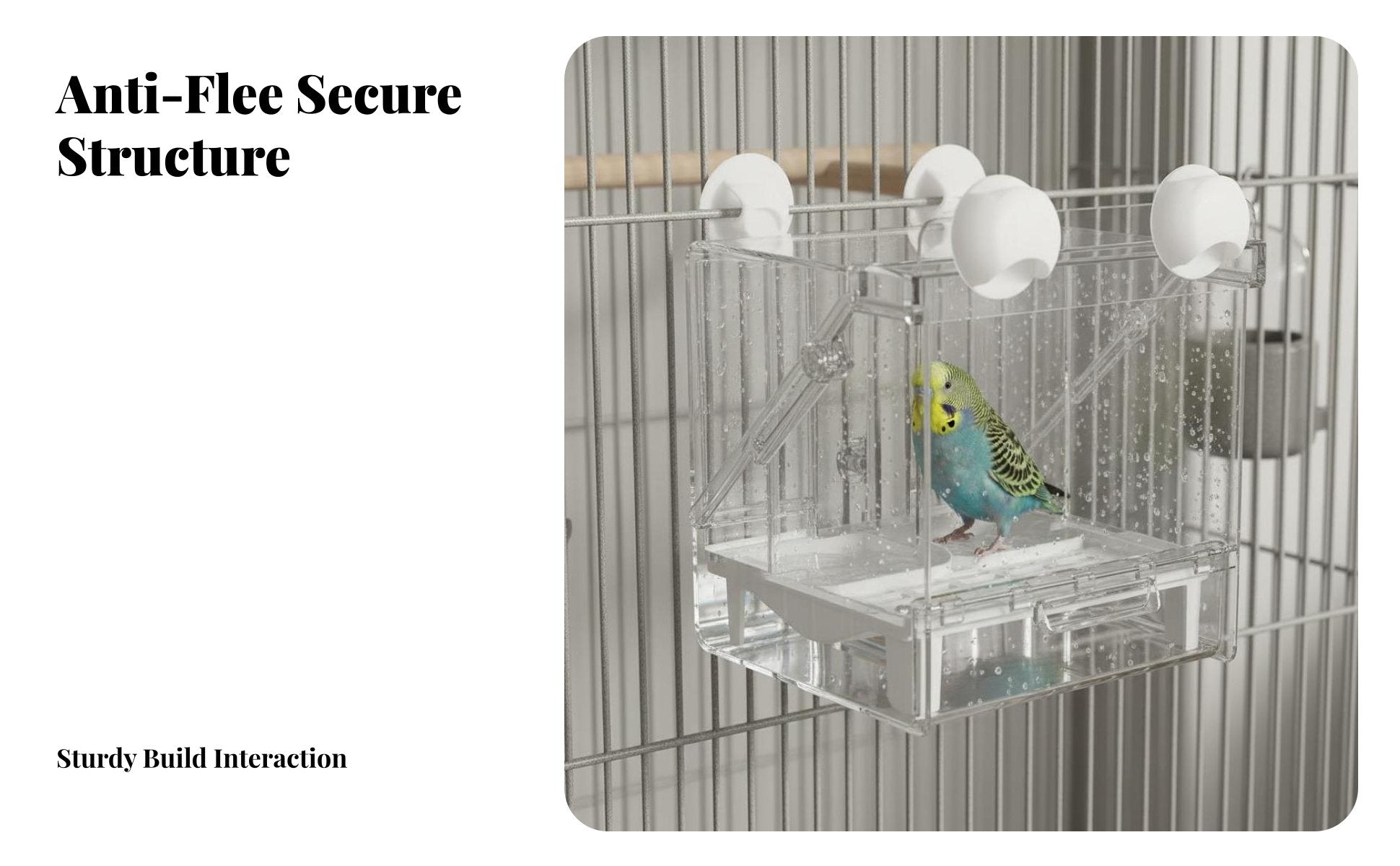 Multi-Functional Bird Feeder Bath Anti-Splash Parrot Shower Box Multipurpose Use