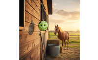 Hanging Hay Feeder Ball Slow Feeding Hay Feeder Ball Food Material Animal Gear for Pasture