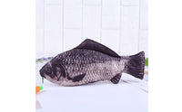 Aquatic Creature Shaped Writing Case Multi-Purpose Novelty Carp Bag for School