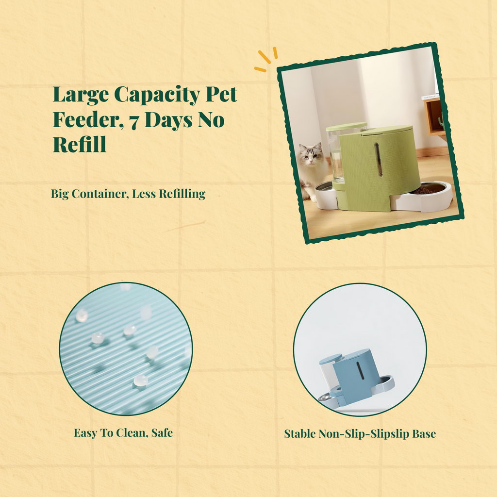 Automatic pet feeder with timer