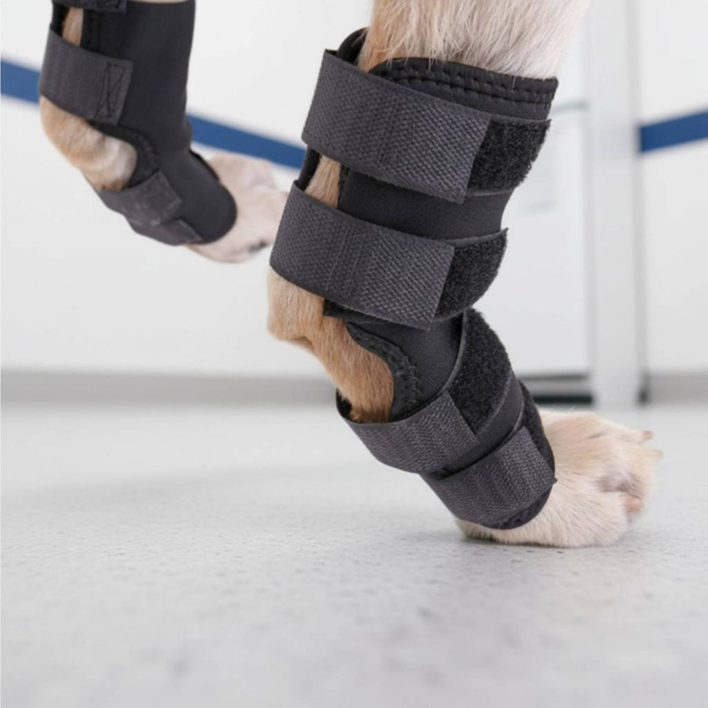 4 Pieces Dog Leg Support Sleeve Breathable Pet Recovery Gear for Rehabilitation