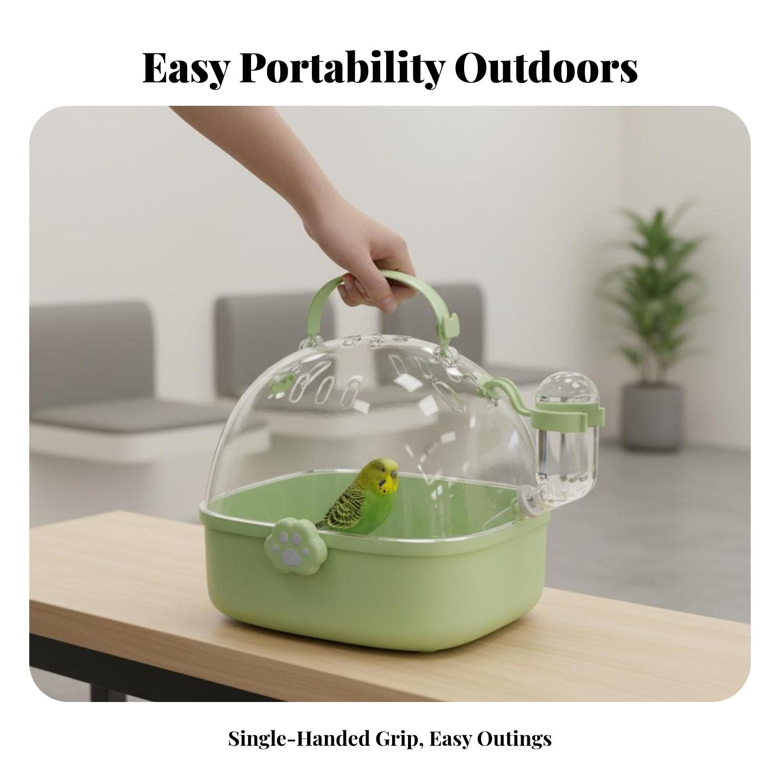 Transparent Parrot Transport carrier Portable Transparent avian Transporter