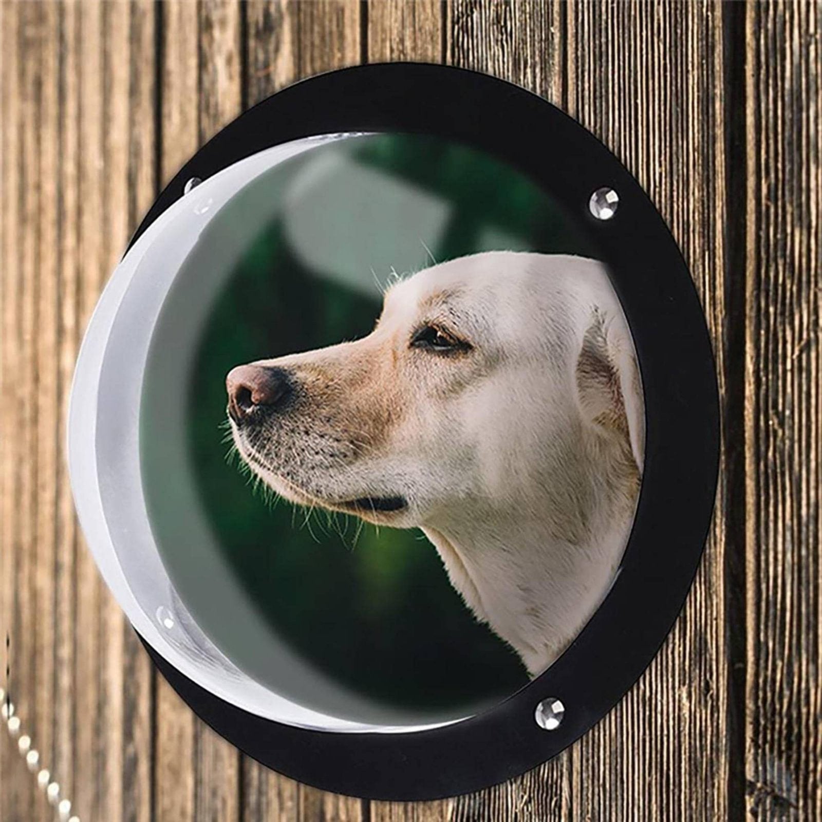 2x Clear Acrylic Bubble Window Half Round Transparent Pet Fence Window for Door