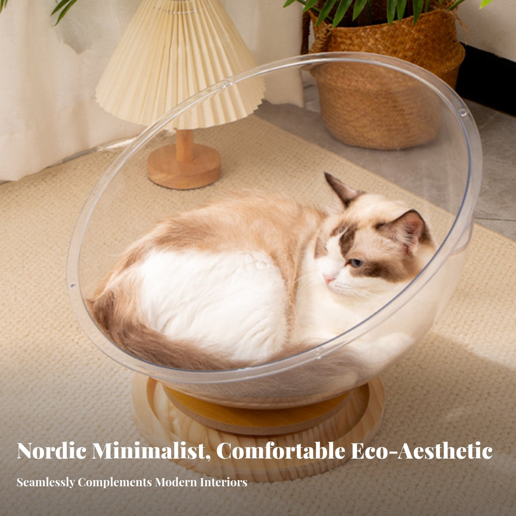Space Capsule Feline Bed Built-in Spherical Pet Toyball Toy Transparent Feline Do and Me Snug Stable Base for Indoors