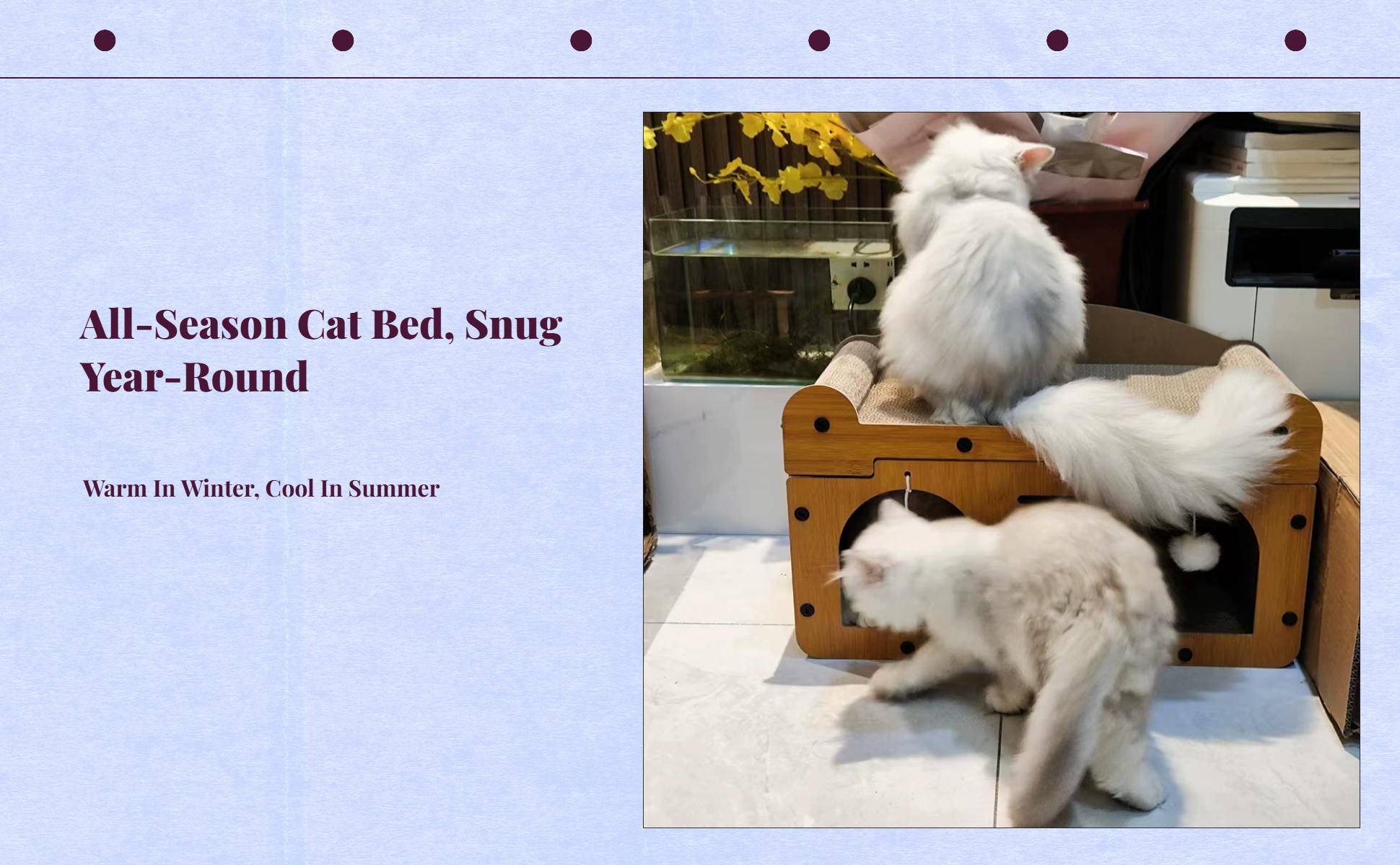 Cat Scratcher House, Upright Cat Bed, Climbing Mat in One
