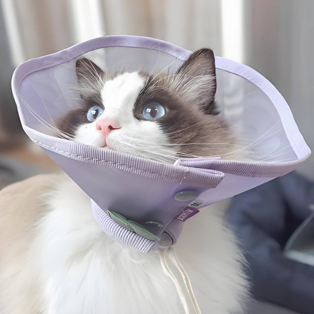 Elizabethan Collar Anti-Lick Breathable E-Collar Easy to Clean for Recovery