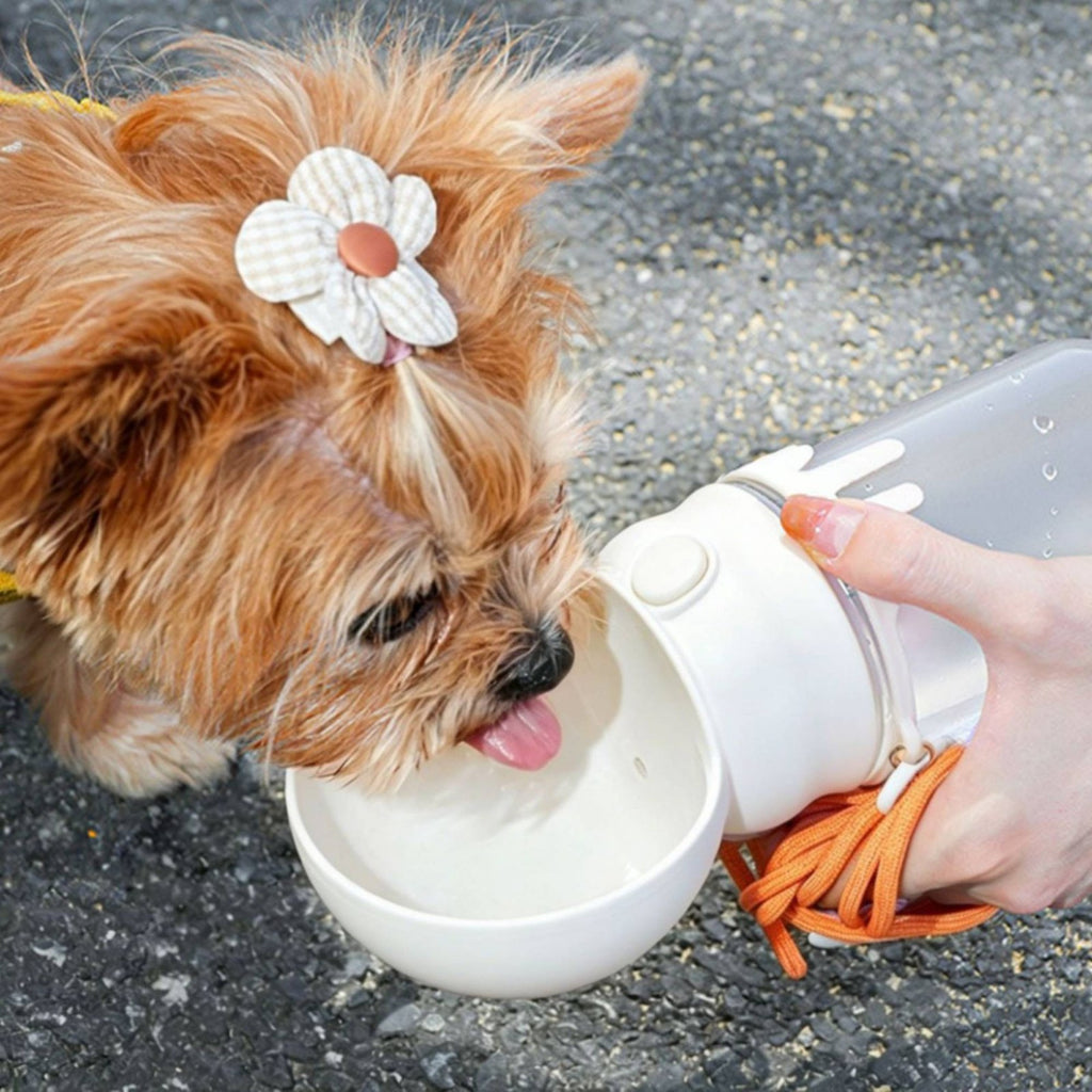 Portable Dog Water Bottle Easy to Hygienic Pet Outdoor Water Dispenser Bottle a Hand Use Pet Outdoor Gear for Dogs