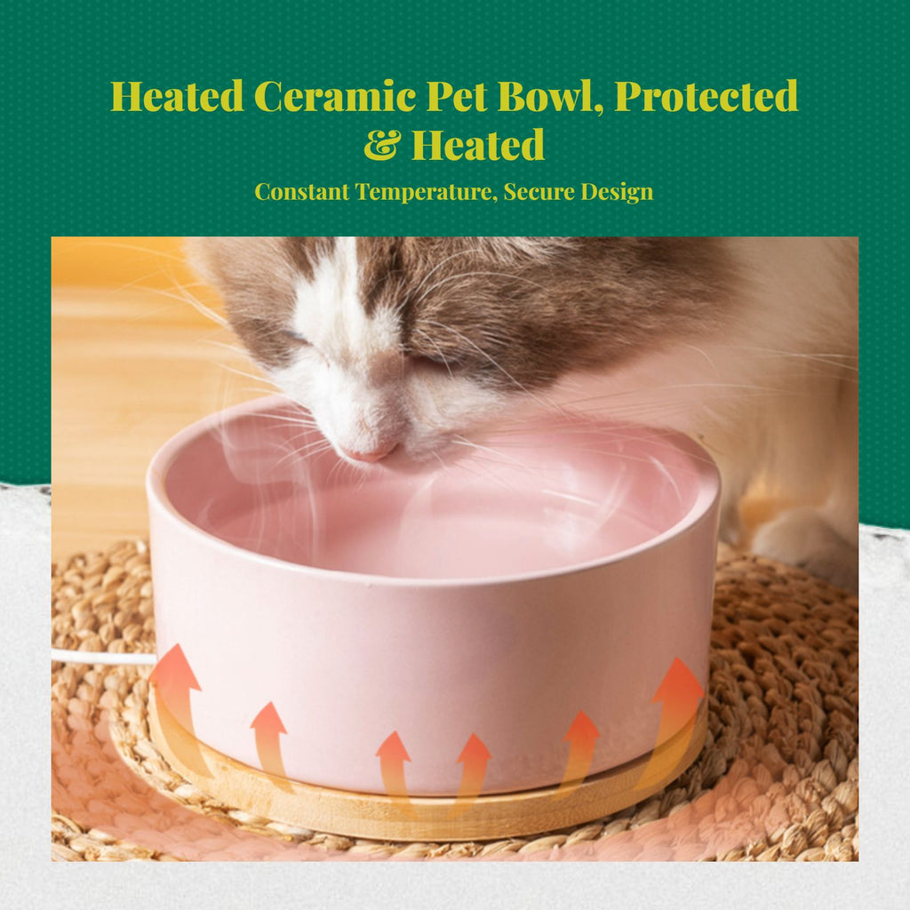 Ceramic pet fountain with filtration