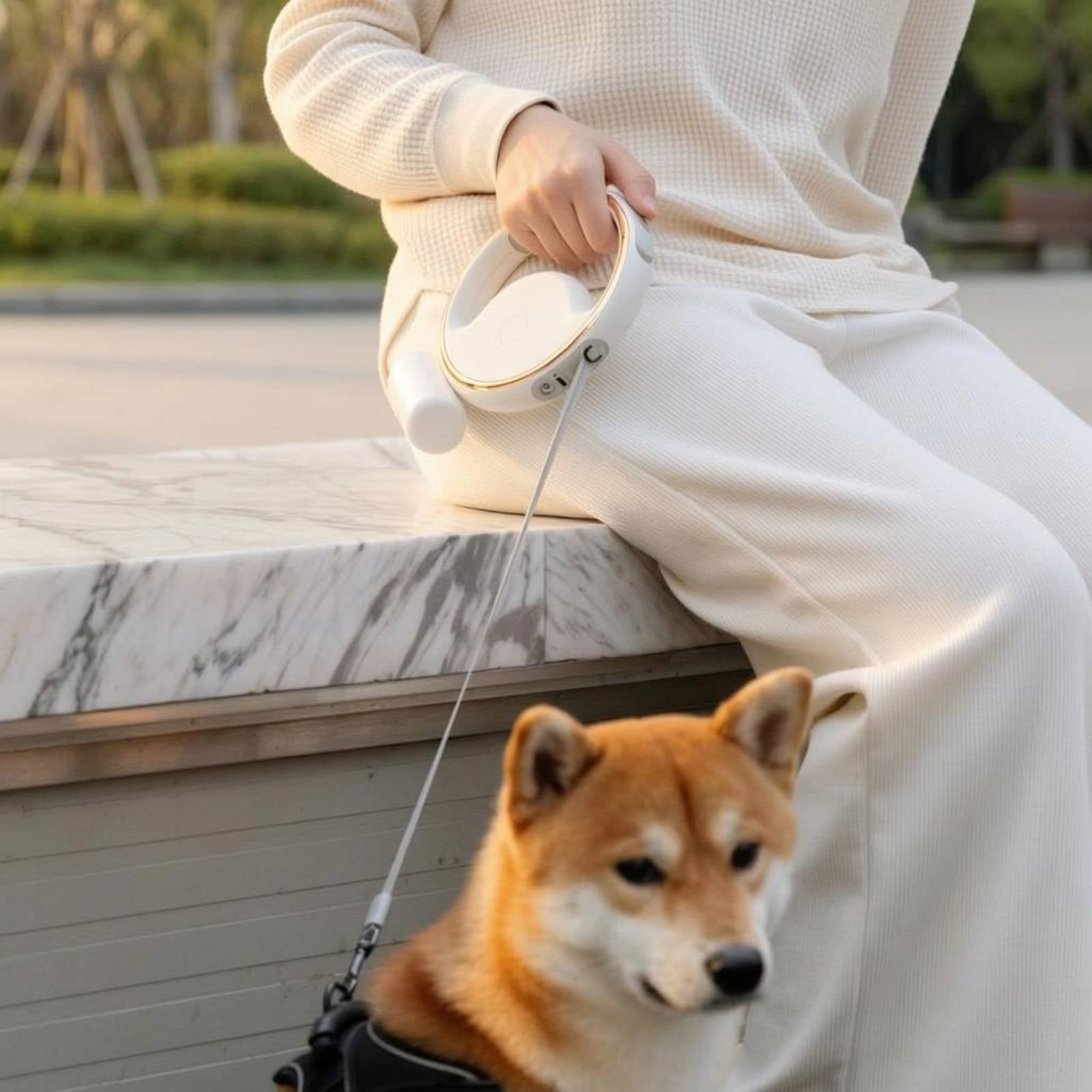 Automatic Retractable Pet Leash Extendable LED Retractable Leash Rust-Proof Hook