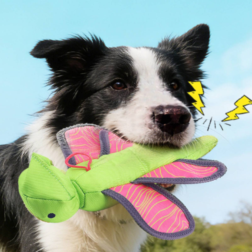 Squeaky Dog Launcher Toy Outdoor Play Dog Fetch Launcher Launches 3x Farther