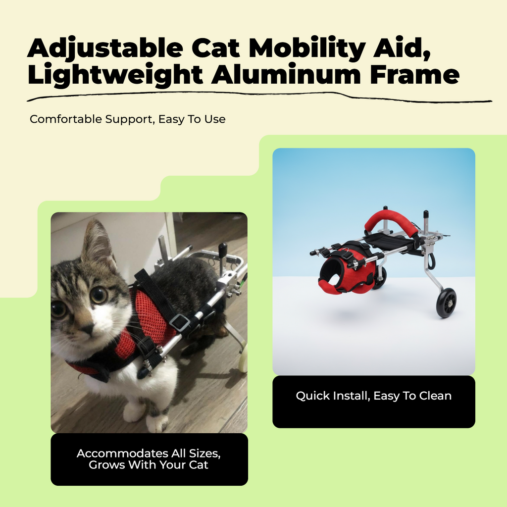 Adjustable wheelchair for disabled cats