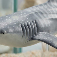 Realistic Shark Figurine Educational Shark Figure Gift Marine Animal Toy for Collection