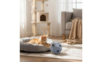 Foldable Felt Cat Toy Interactive Play Pet Supply Easy to Clean for Indoor
