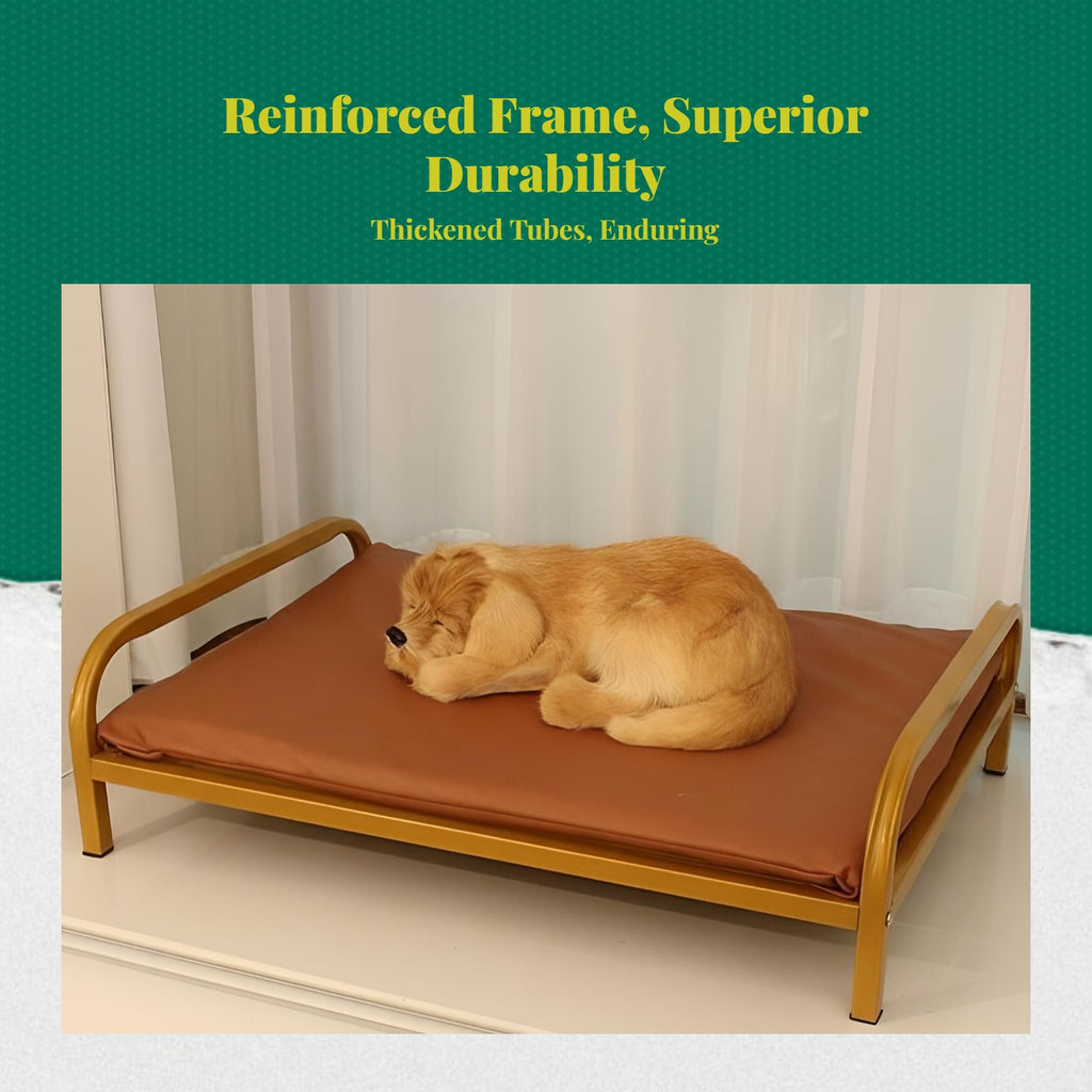 Gnaw-resistant dog bed, easy clean.
