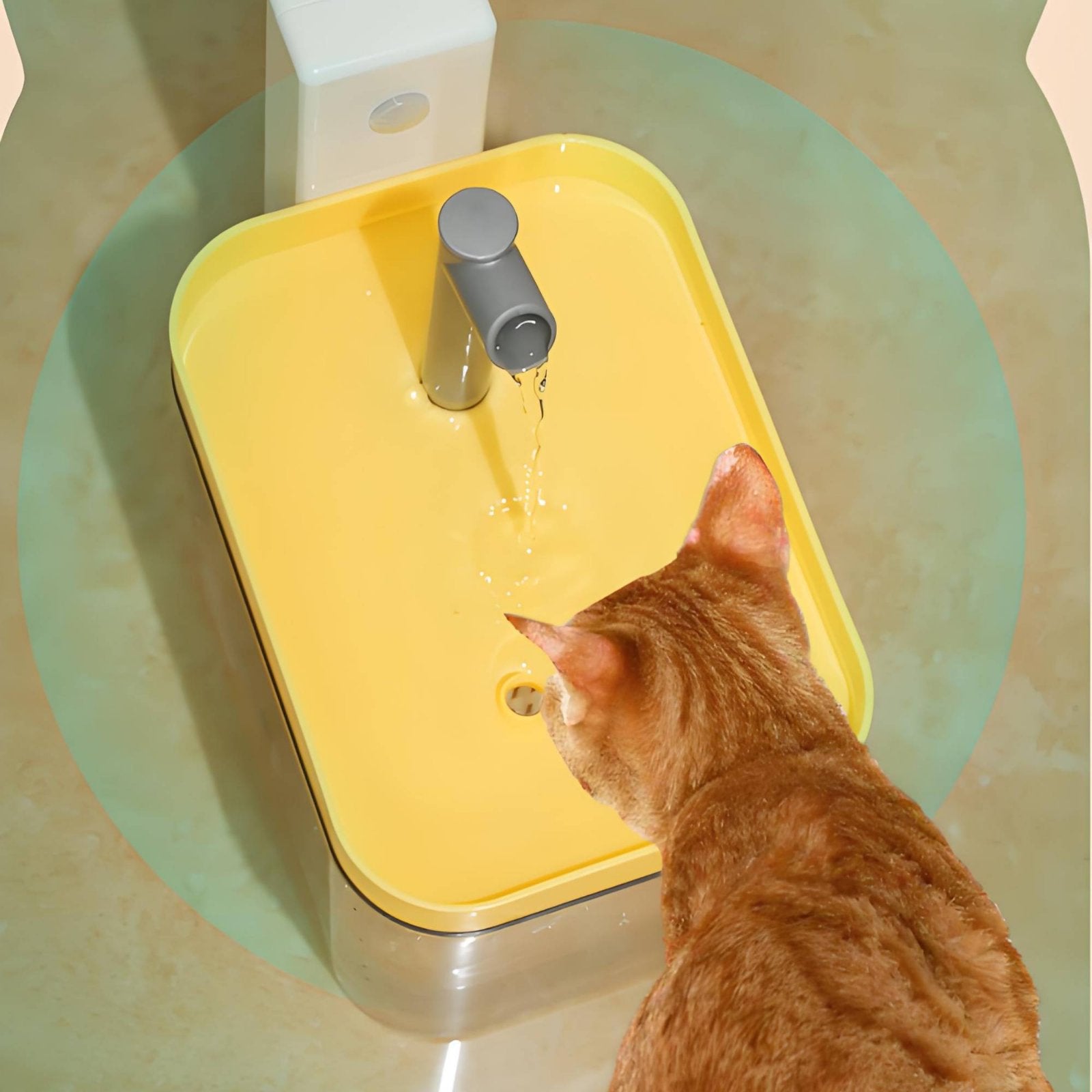 Circulating Feline Water Dispenser Ultra-Quiet Pump for Cats