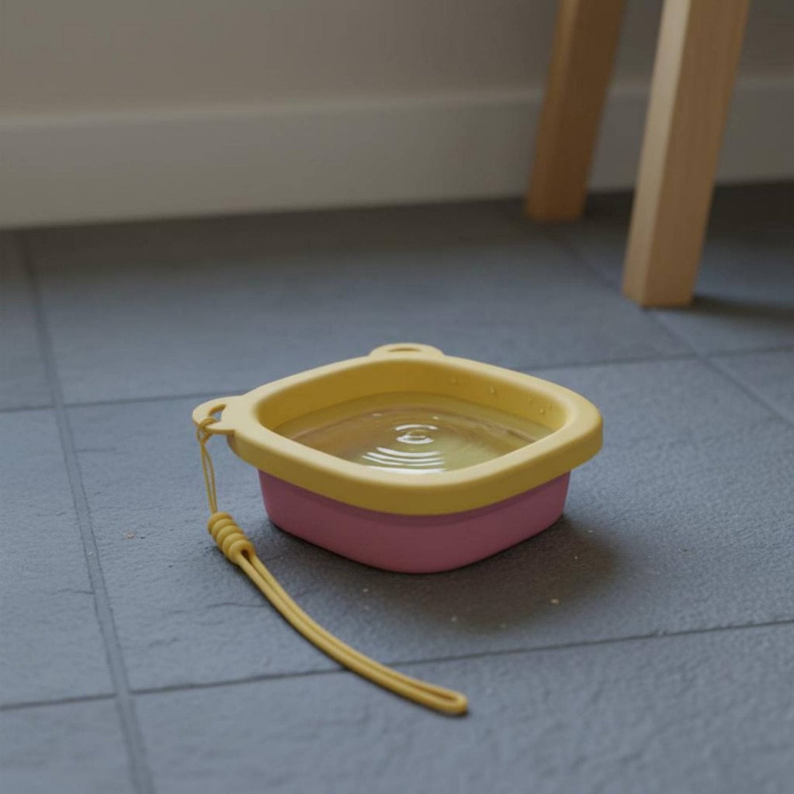 Foldable Pet Bowl Outdoor Friendly Foldable Pet Feeding Bowl Lightweight for Pets, Walking