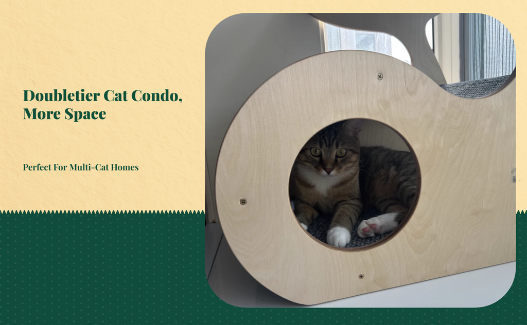 2-story wood cat house, indoor/outdoor
