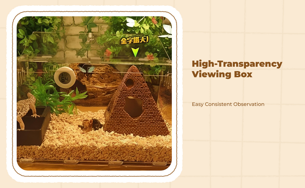 Ventilated gecko terrarium