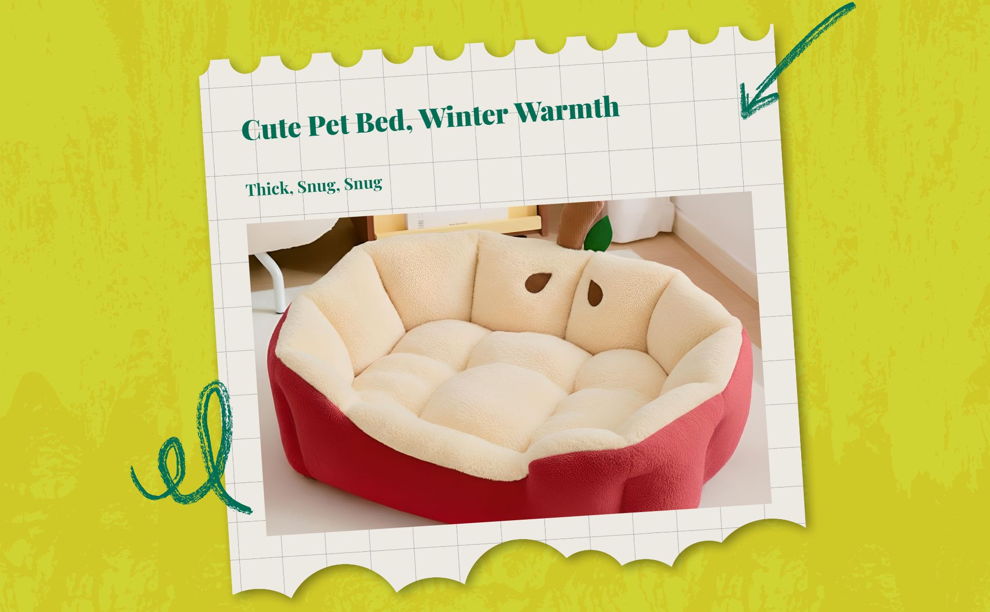 Calming pet bed, warming sofa for small dogs and cats