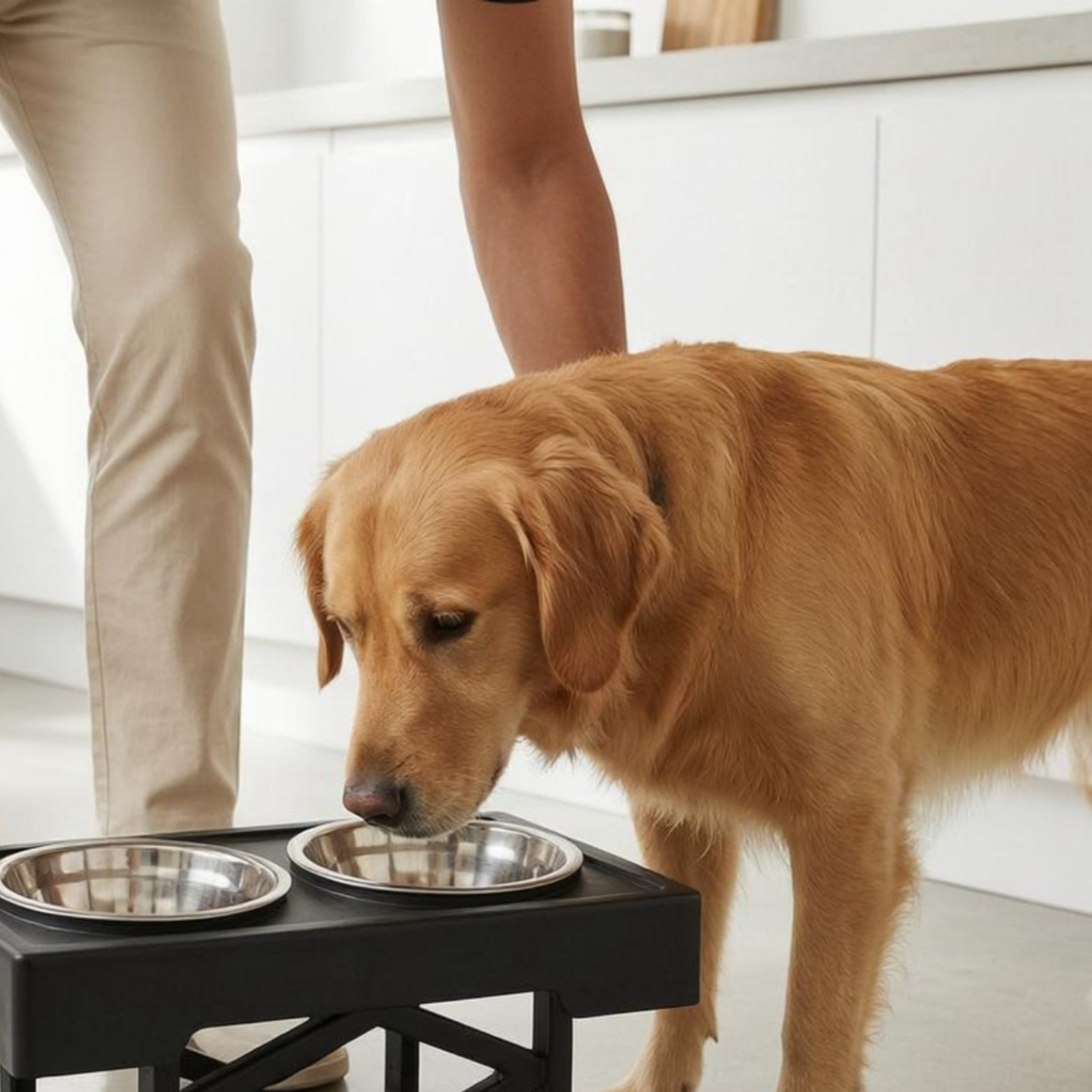 Elevated Pet Feeder Stainless Steel Dog Bowl Stand Foldable