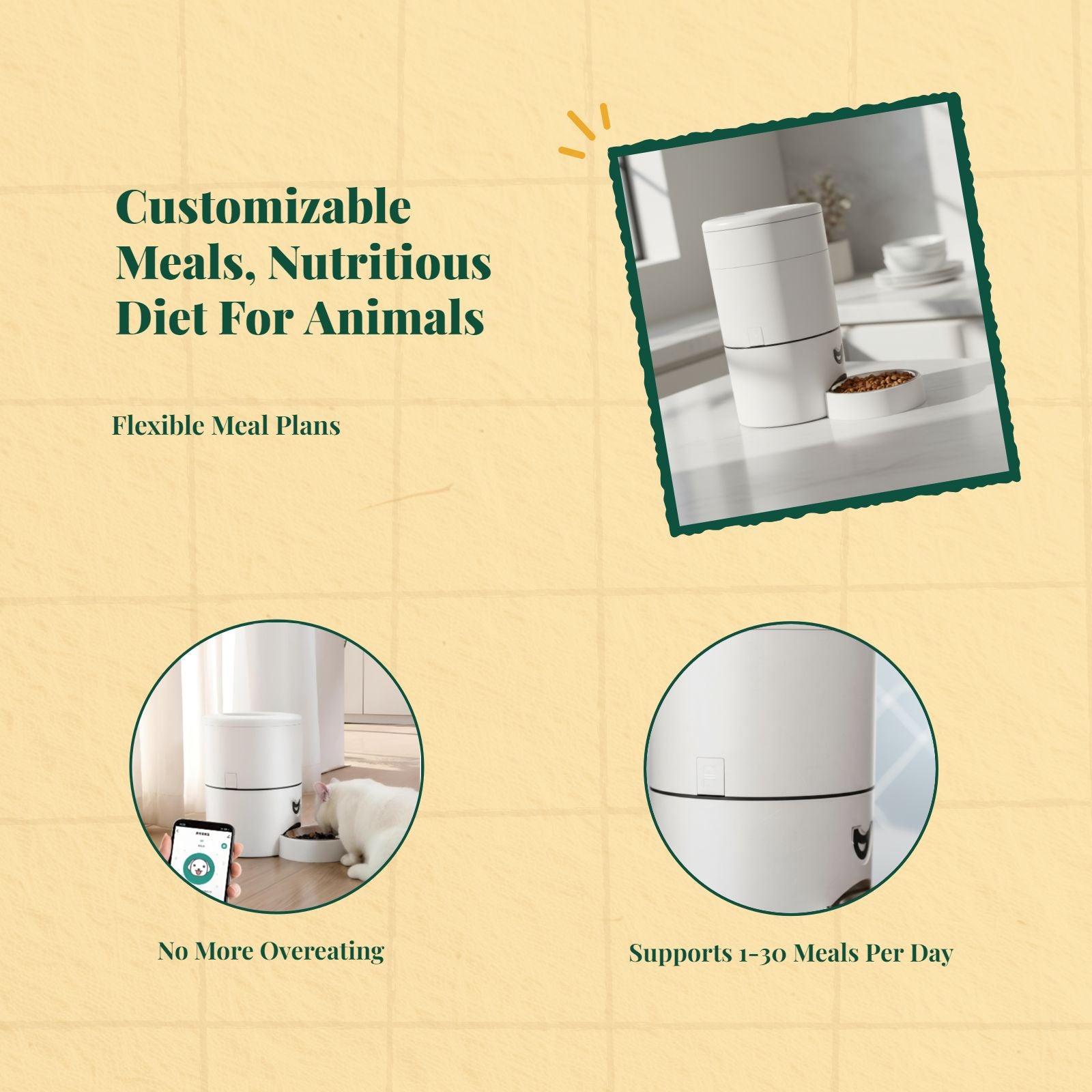 App-controlled pet feeder, timed meals