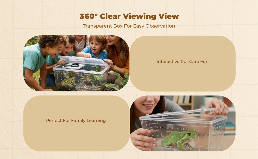 Escape-proof Horned Frog Terrarium