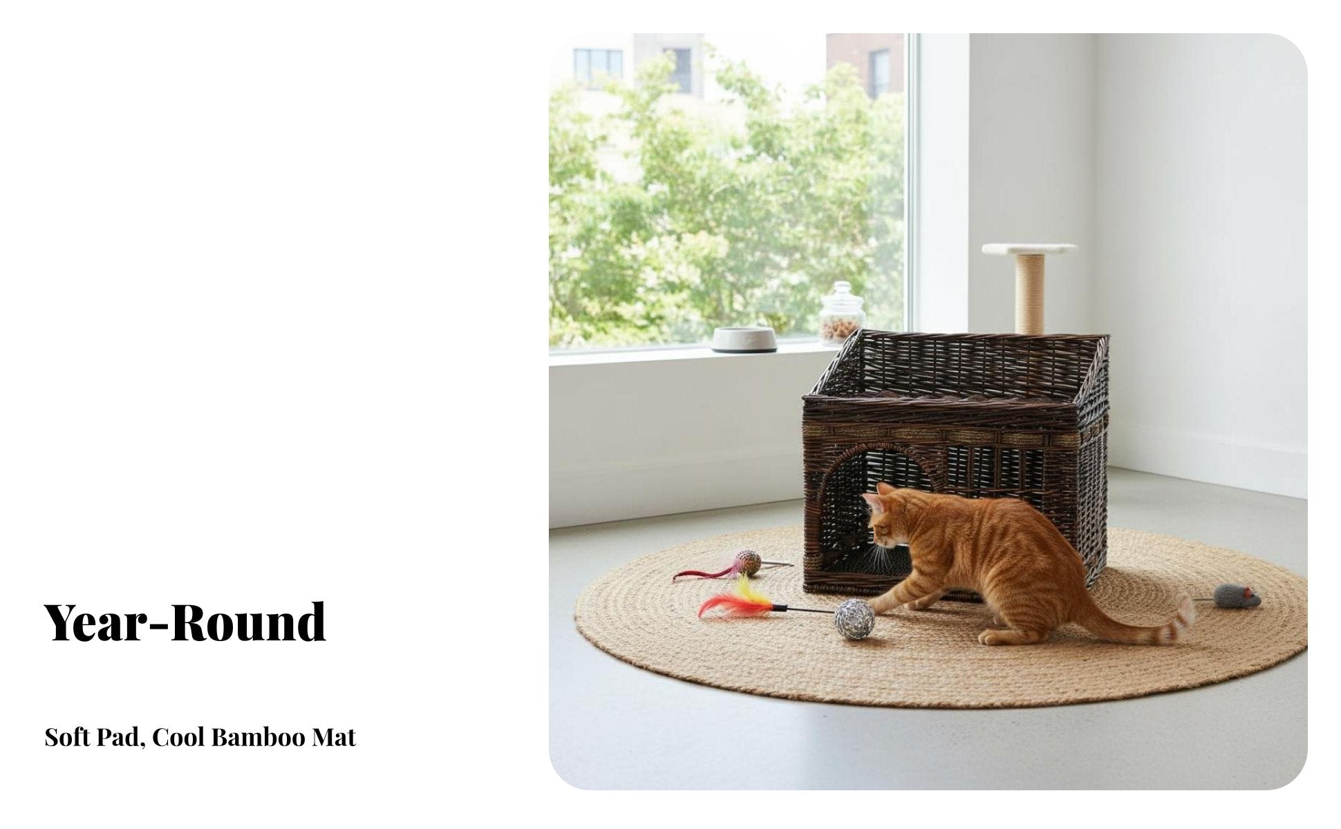 Wicker Cat House Handwoven Enclosed Cat Bed Rattan Pet Kennel Easy to Clean Enclosed Pet Bed Stylish Design for Kittens, Bedroom