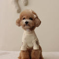 Soft Material Heart Embellishment Dog Sweater Machine Washable Small Dog Pullover for Cats, Young Dogs, Cold Weather, Daily Wear