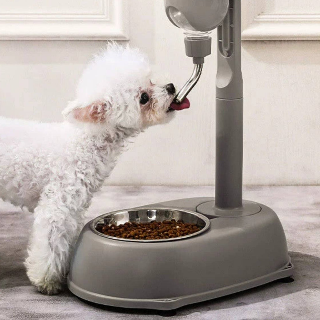 Raised Pet Water Bottle Easy to Clean Elevated Pet Waterer Dog Water Bottle for Young Dogs