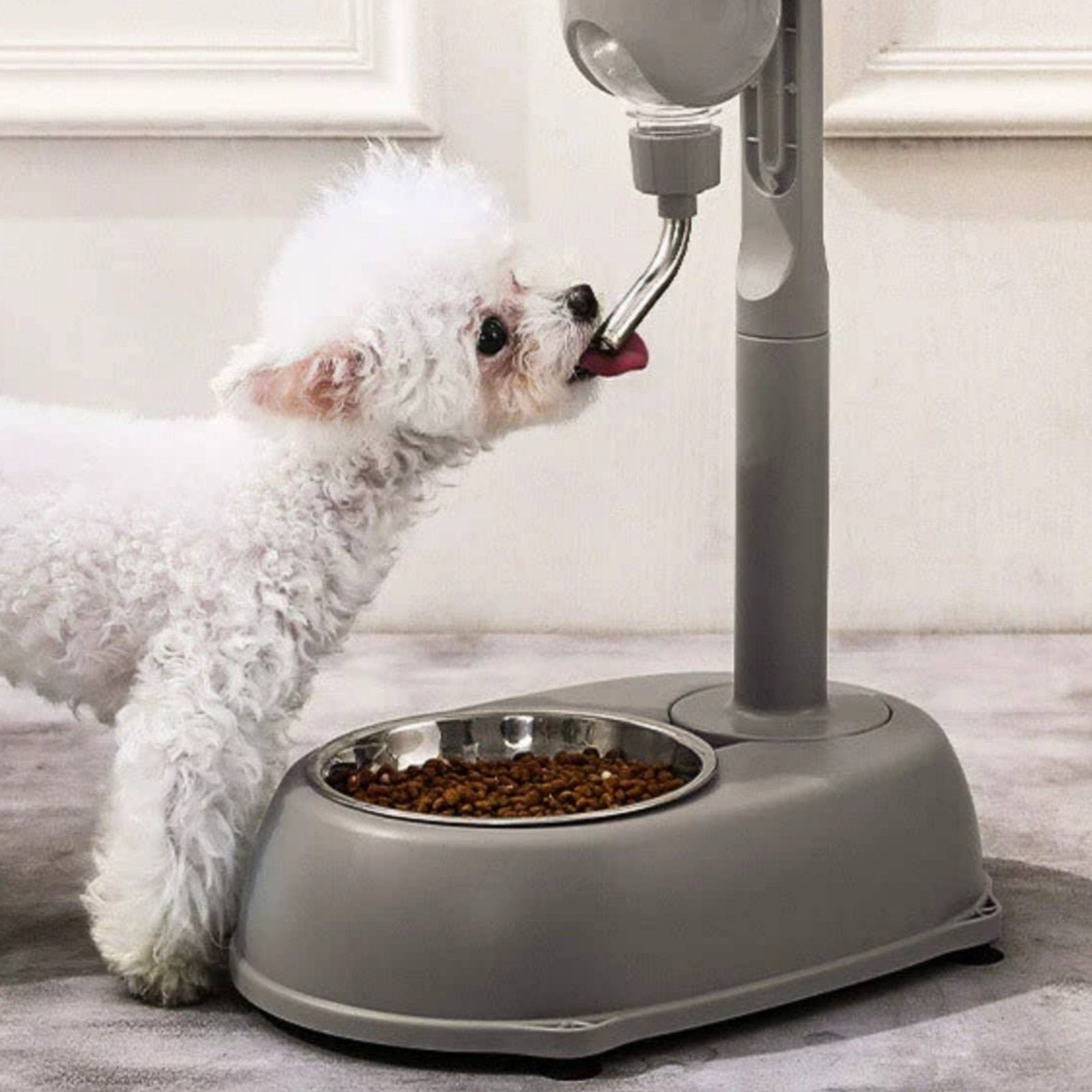 Raised Pet Water Bottle Easy to Clean Elevated Pet Waterer Dog Water Bottle for Young Dogs