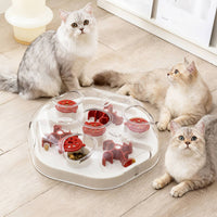 Interactive Cat Puzzle feeder Toy Mental Cat mazes Toy Anti-Suffocation Pet Accessory for Indoor