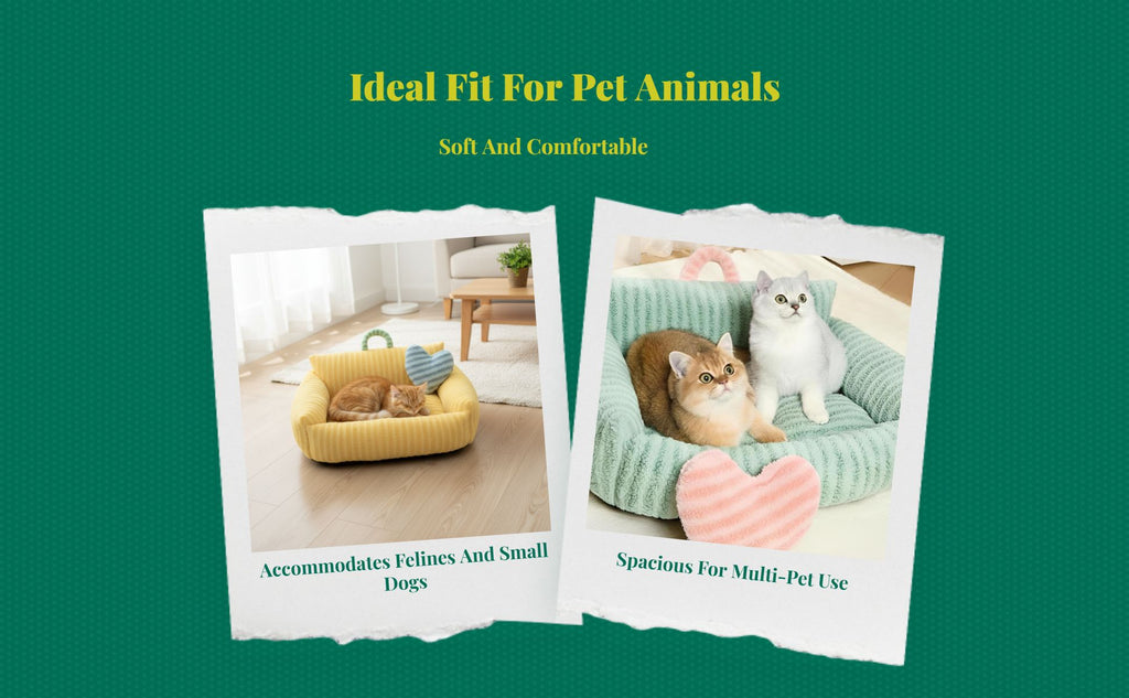 Cat Bed, Soft Washable Pet Sofa Mat, Non-Slip, All-Season