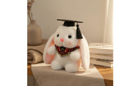 Cap and Gown Rabbit Gift Idea Graduation Rabbit Stuffed Toy Rolled Scroll