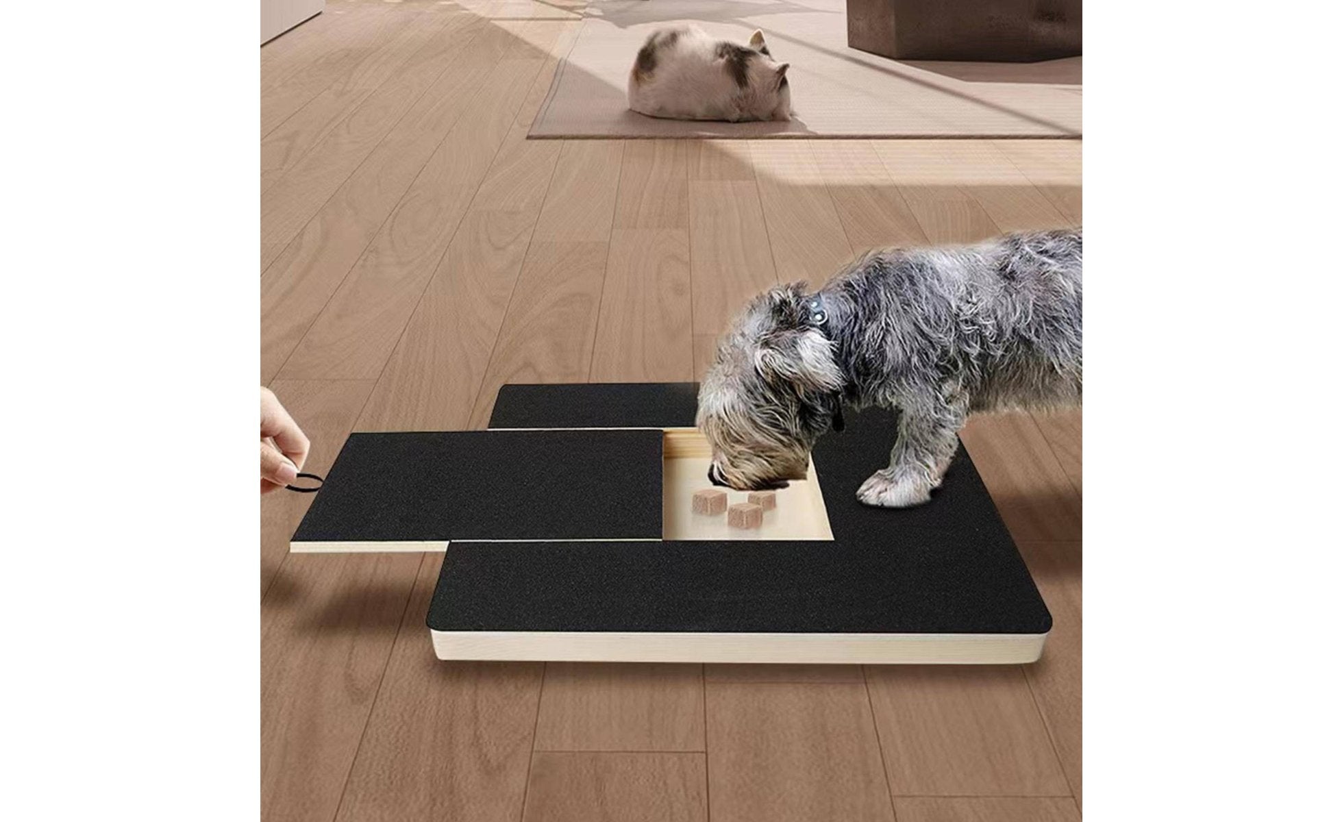Dog Nail Scratch Board Mental Stimulation Pet Supply Portable