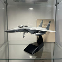1/100 Scale F-15C Model Ready to Display F-15C Fighter Jet Model Great Gift Idea Diecast Fighter Jet for Enthusiasts, Desk Decoration
