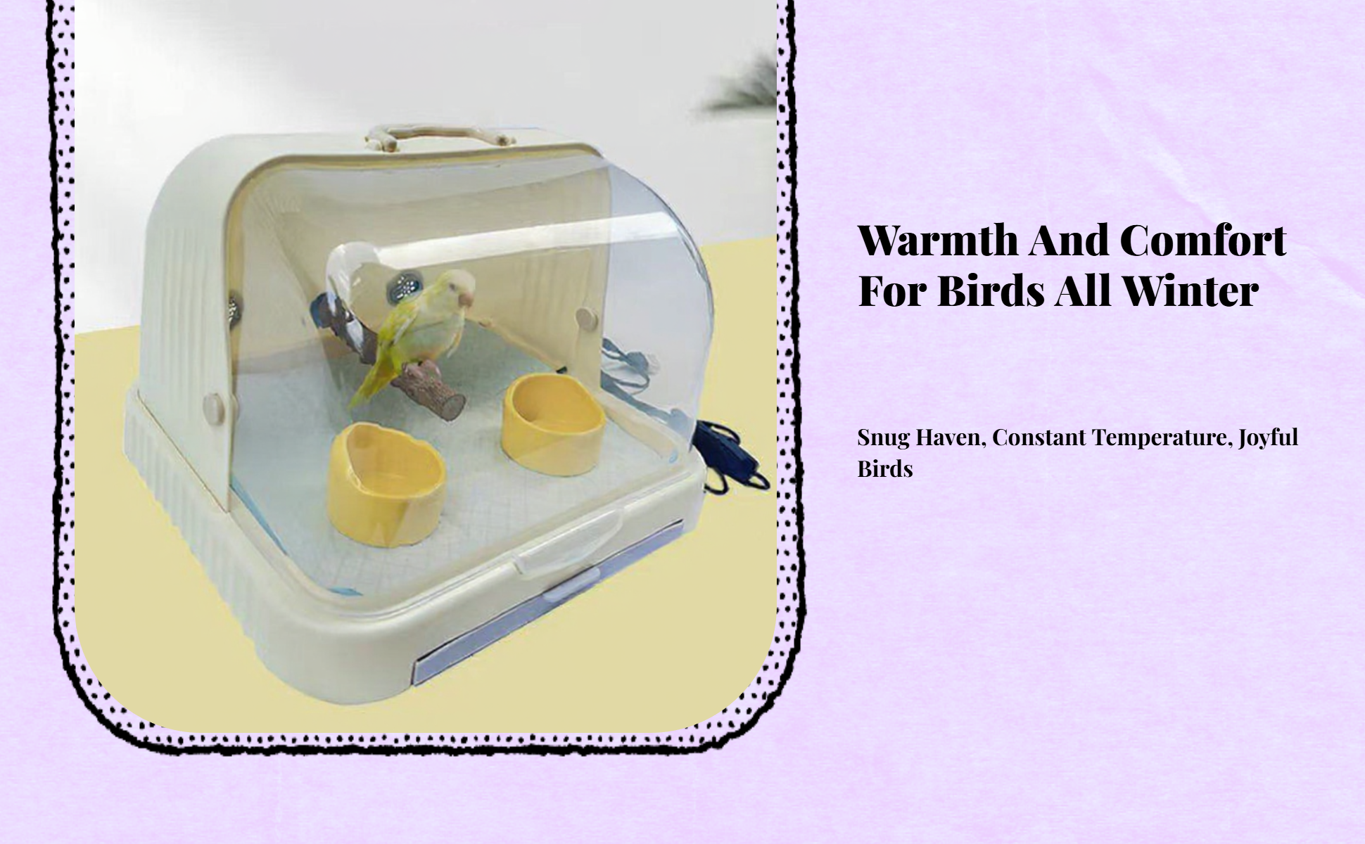 Pet Incubator, Thermostat, Timer, Brooder, Newborn Animals