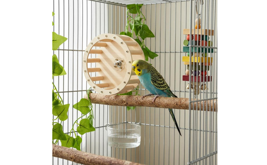 Parrot Running Wheel Interactive Bird Perch Treadmill Healthy Beak Maintenance