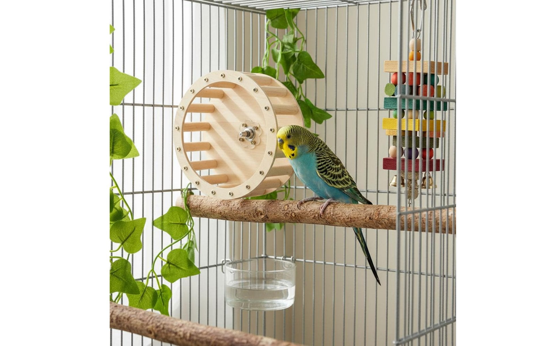 Parrot Running Wheel Interactive Bird Perch Treadmill Healthy Beak Maintenance