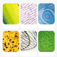 Children Microscope Kit Calibration Kids Microscope Set Easy to Use