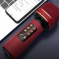 Wireless Bluetooth Vocal Amplifier Voice Changer Wireless Karaoke Vocal Amplifier High-Fidelity Sound Quality 3-in-1 Karaoke Mic for Children, Family