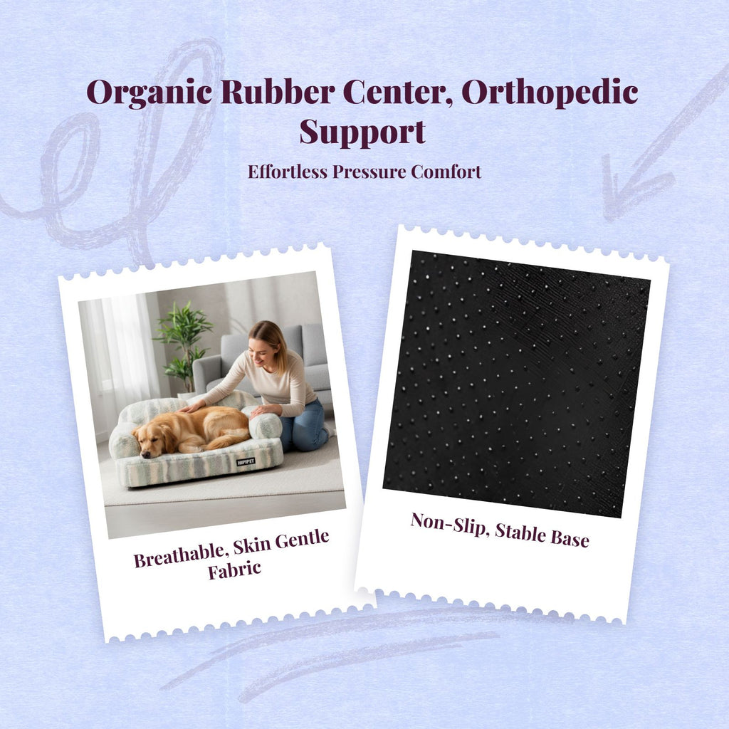 Orthopedic dog bed with removable cover