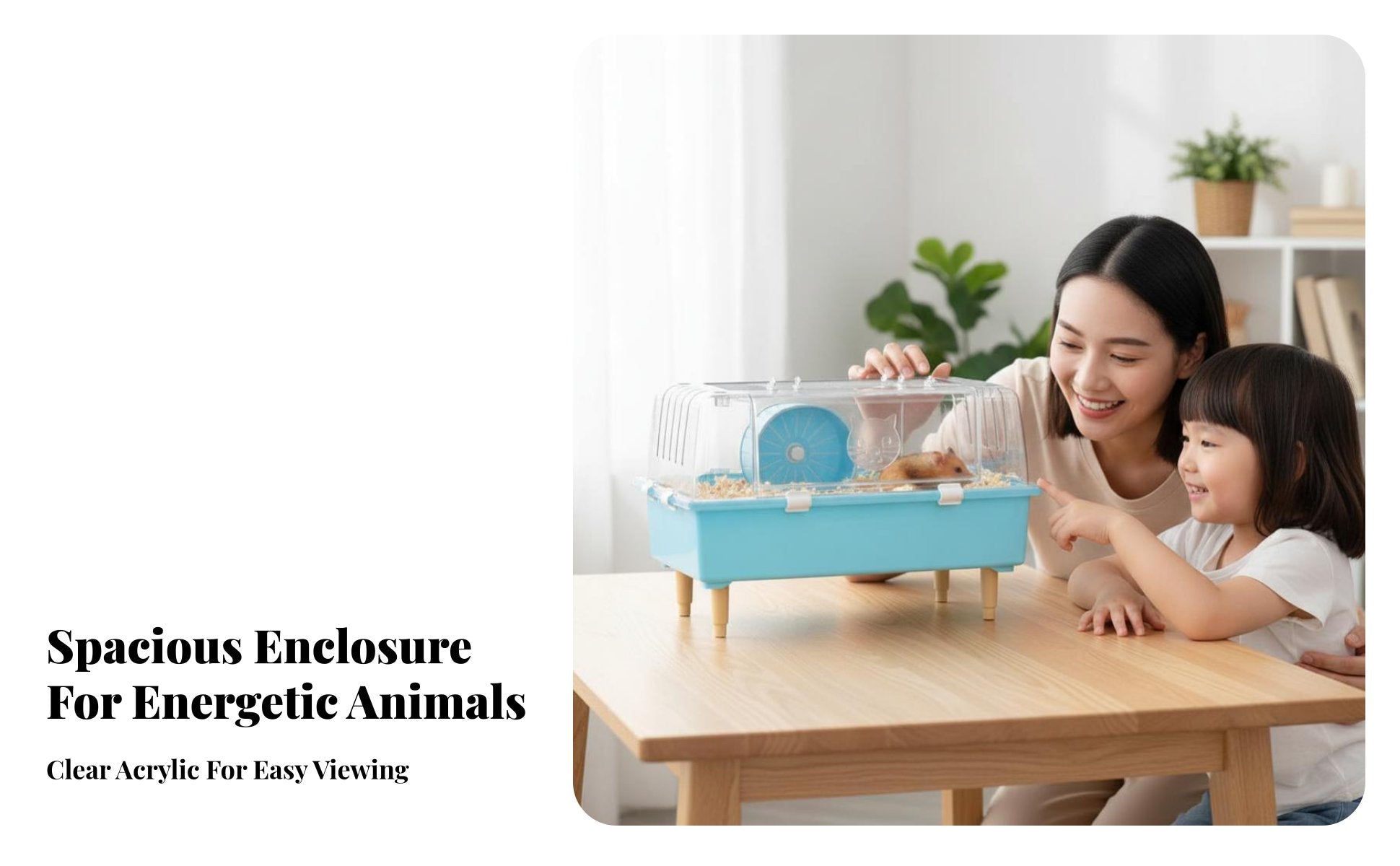 Transparent Hamster enclosure Clear View Transparent Introductory Kit Easy to Clean