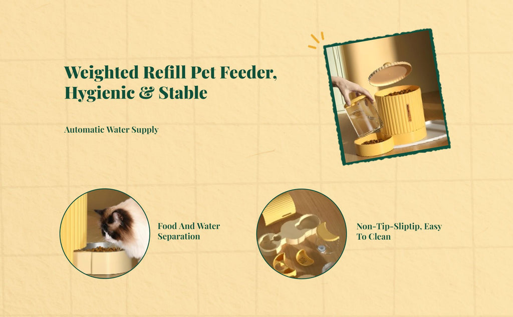 Automatic water dispenser cat bowl