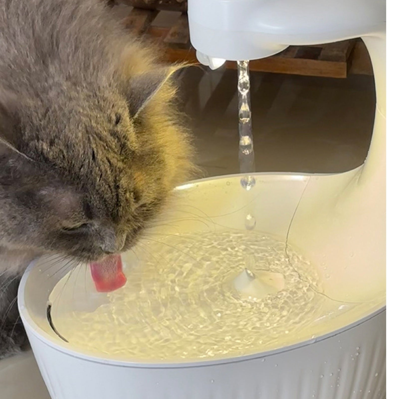 Cat Water Dispenser Portable Power Pet Water Dispenser Anti-Slip Stable for Indoor