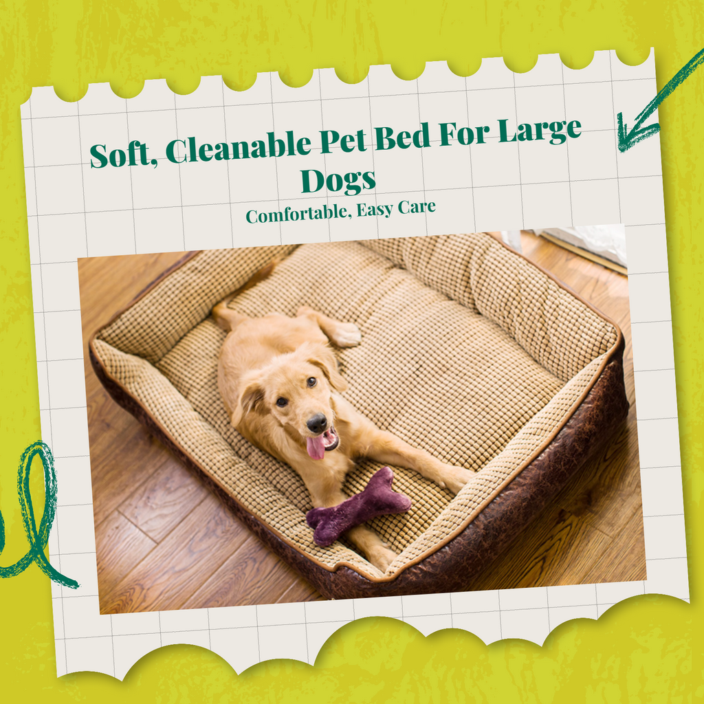 Orthopedic dog bed, removable cover