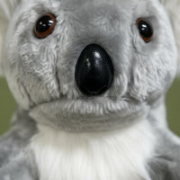 Koala Driver Cover Scratch-without Charge Protection Soft Fabric Creature Club